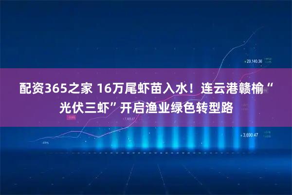 配资365之家 16万尾虾苗入水！连云港赣榆“光伏三虾”开启渔业绿色转型路