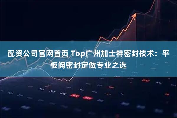 配资公司官网首页 Top广州加士特密封技术：平板阀密封定做专业之选