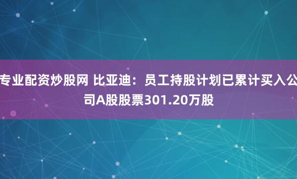 专业配资炒股网 比亚迪：员工持股计划已累计买入公司A股股票301.20万股