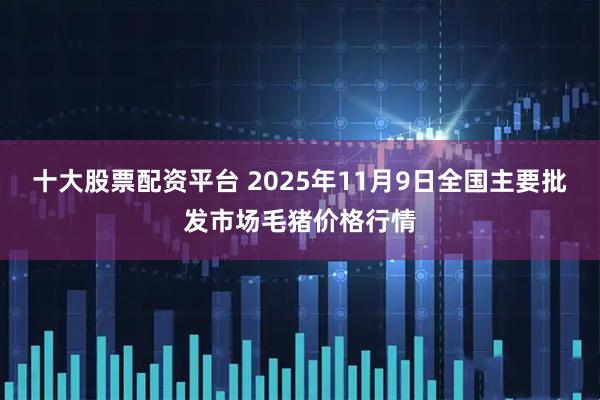 十大股票配资平台 2025年11月9日全国主要批发市场毛猪价格行情