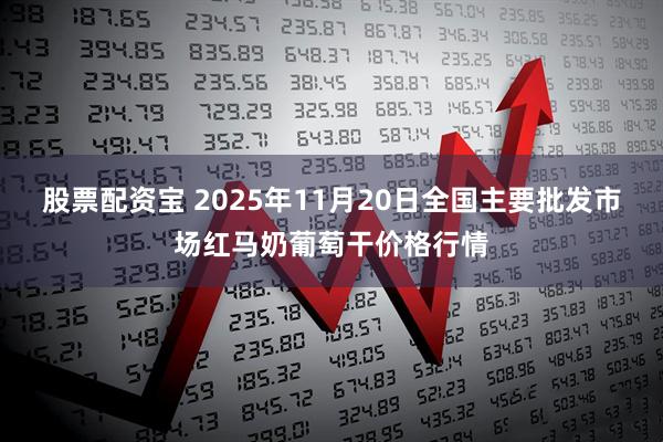 股票配资宝 2025年11月20日全国主要批发市场红马奶葡萄干价格行情